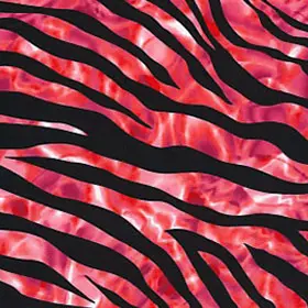 Red Zebra